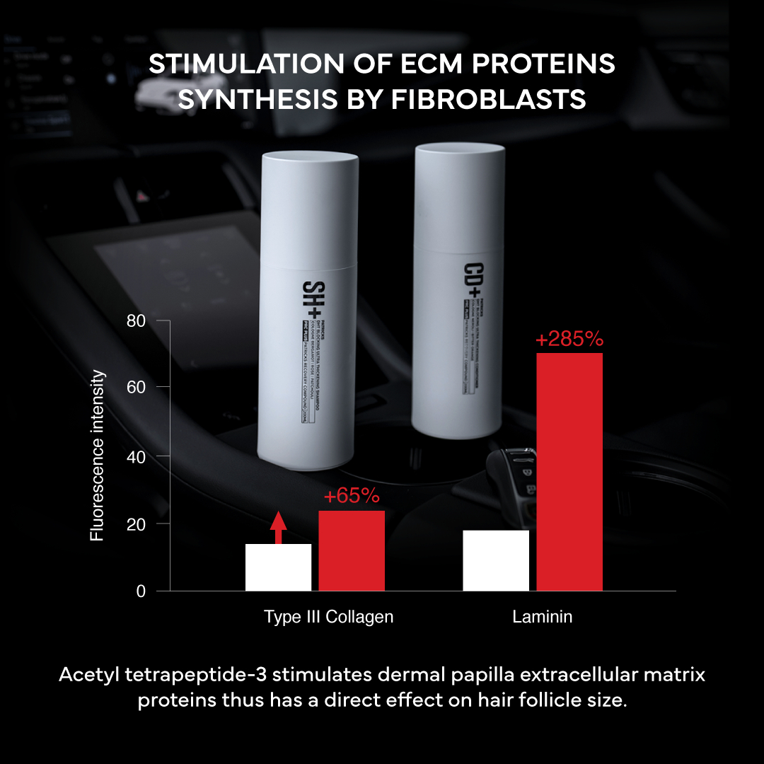 PLUS SET | ANTI HAIR LOSS SHAMPOO AND CONDITIONER